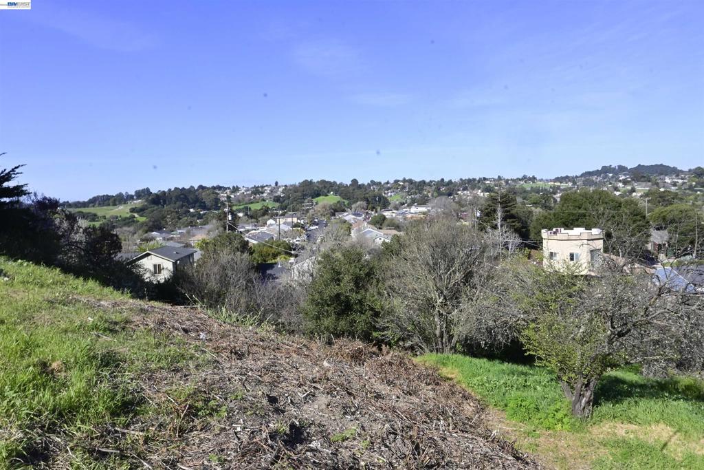 3944 La Cima Rd Property Photo 18