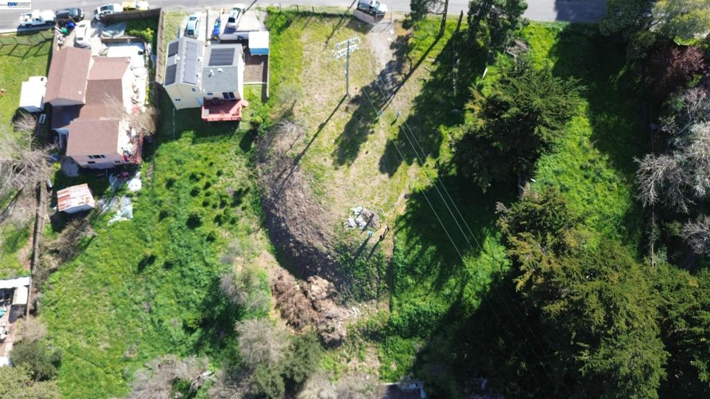 3944 La Cima Rd Property Photo 29