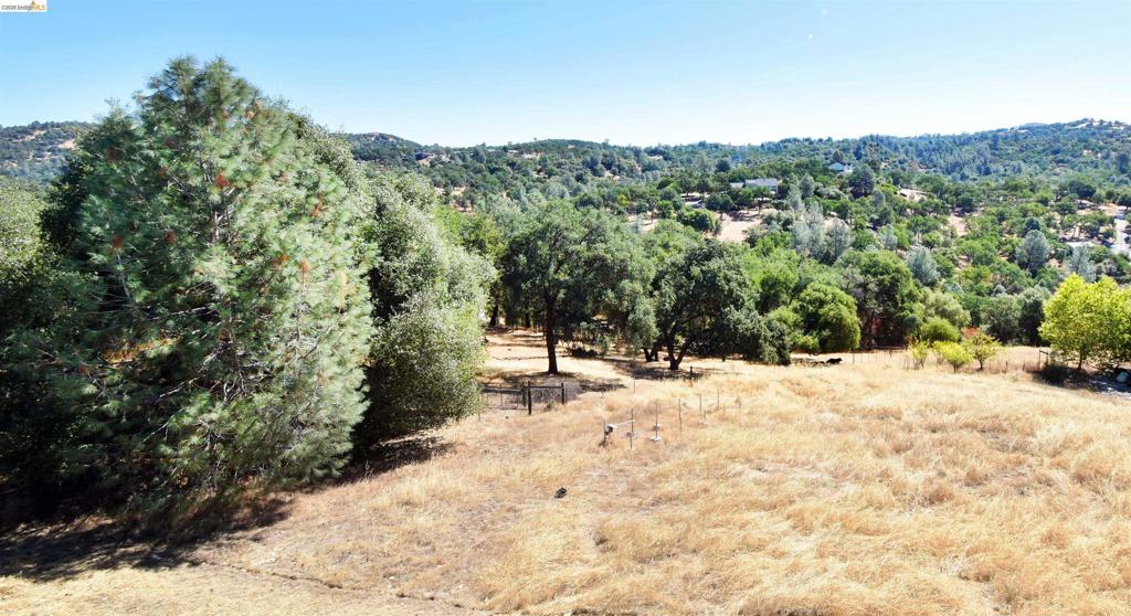 13246 Armistead Cir Property Photo 23