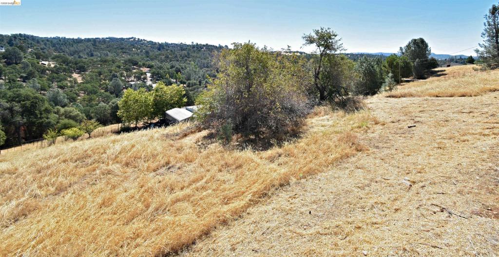 13246 Armistead Cir Property Photo 41