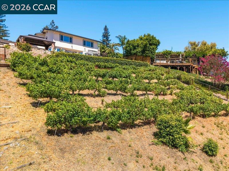 385 Paraiso Dr Property Photo 67