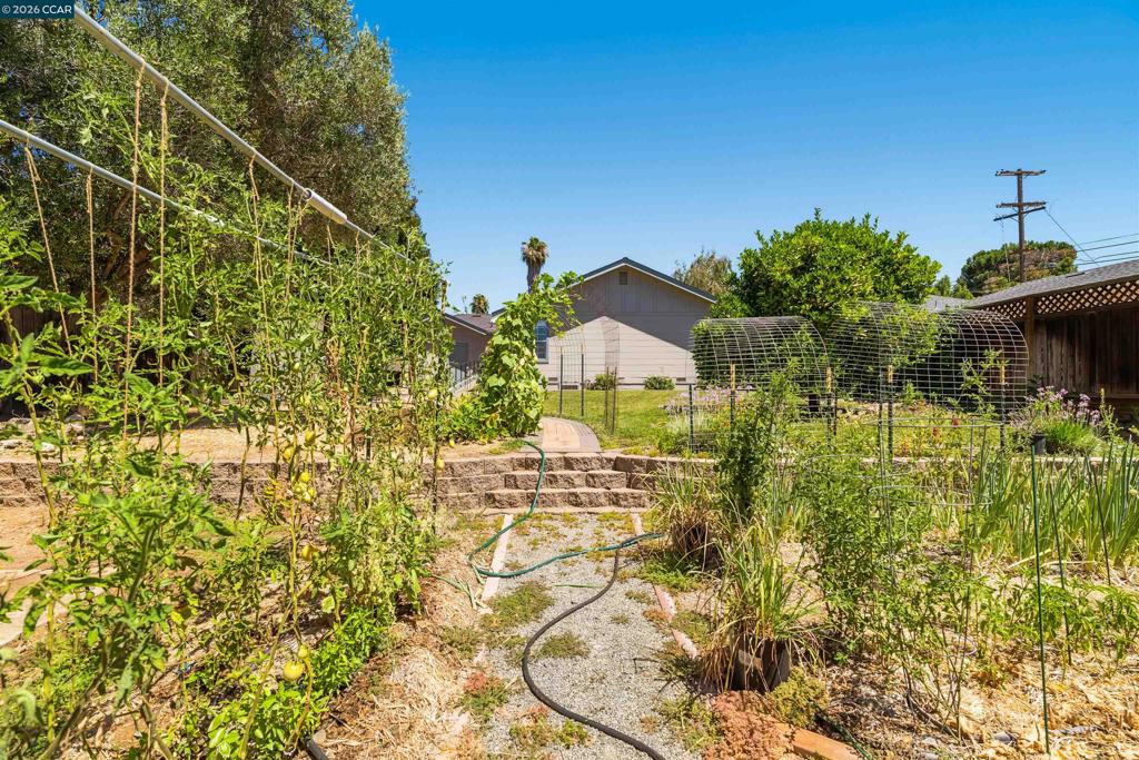 3644 Walnut Ave Property Photo 29