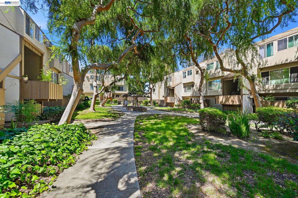 4415 Norwalk Dr 3 Property Photo 60
