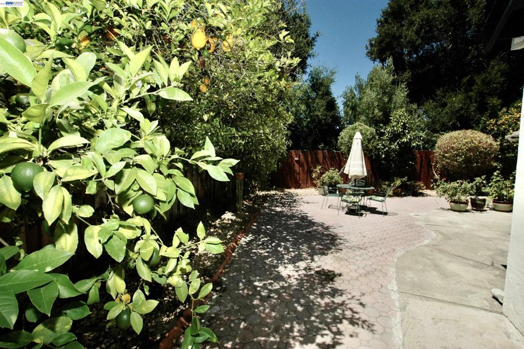 35515 Dee Place Property Photo 38