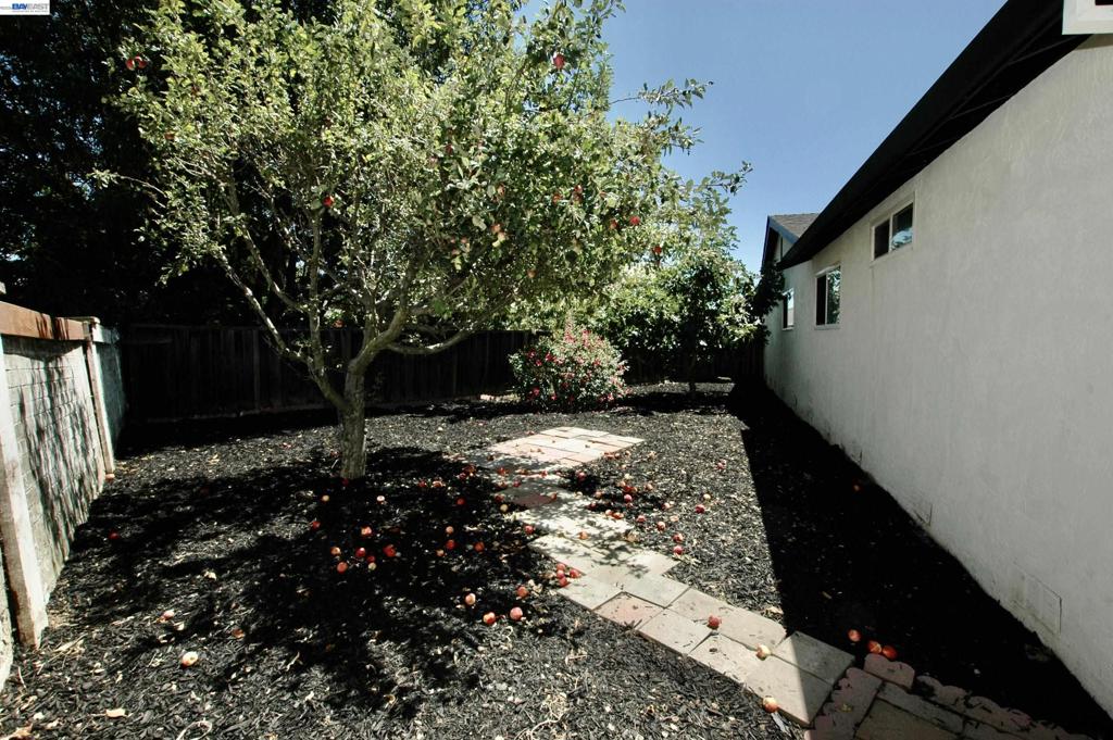 35515 Dee Place Property Photo 40