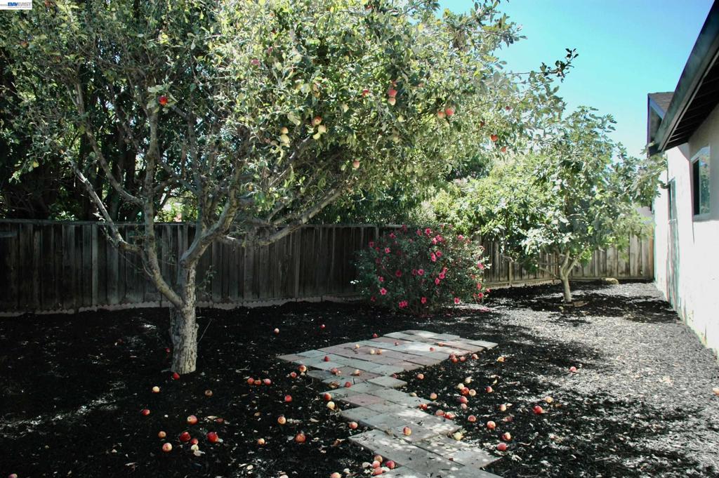 35515 Dee Place Property Photo 41