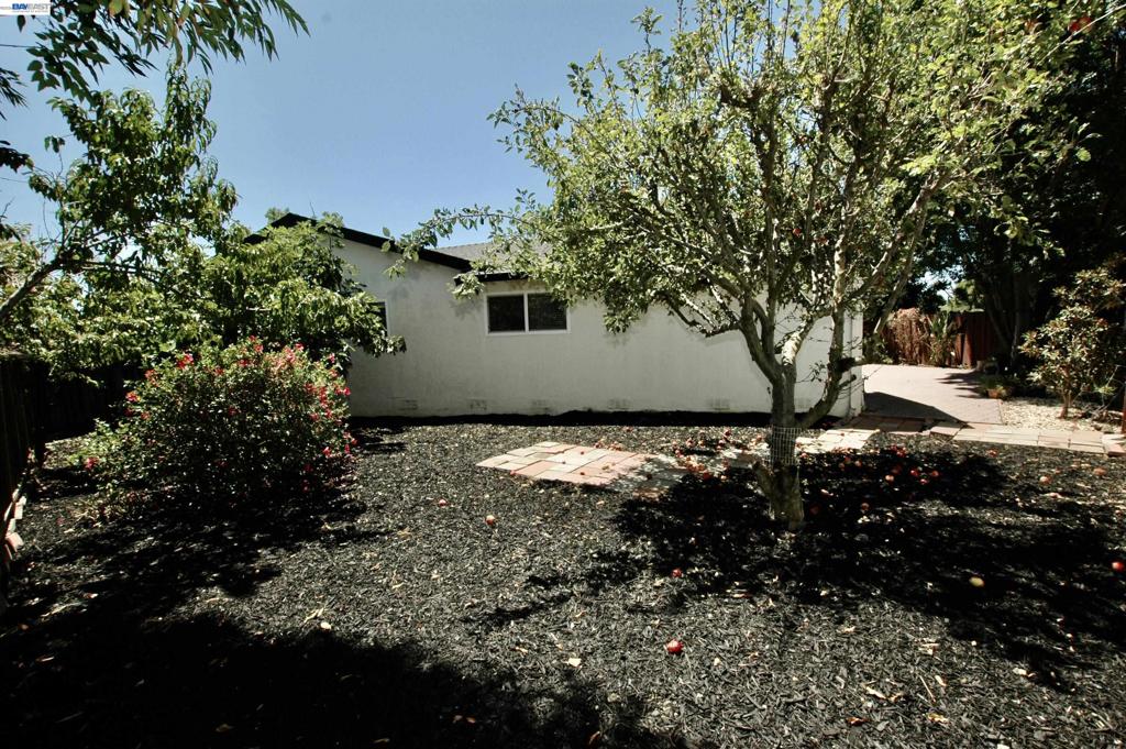 35515 Dee Place Property Photo 43