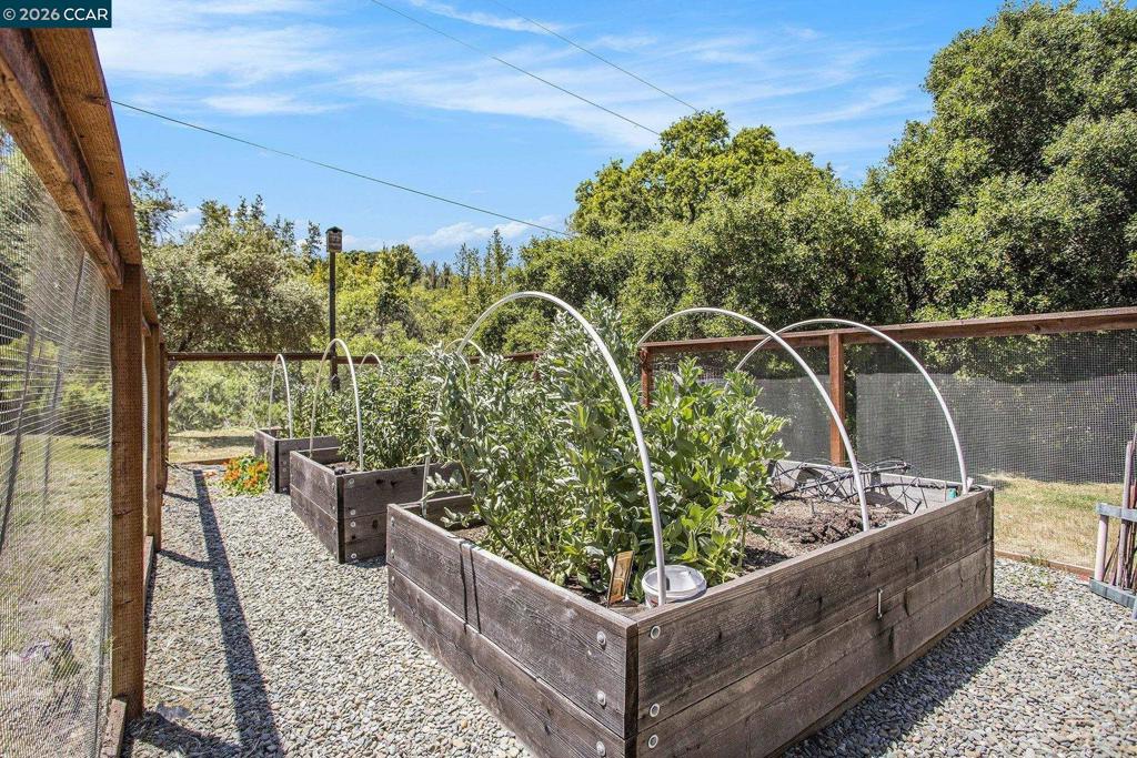 5745 Alhambra Valley Rd Property Photo 37