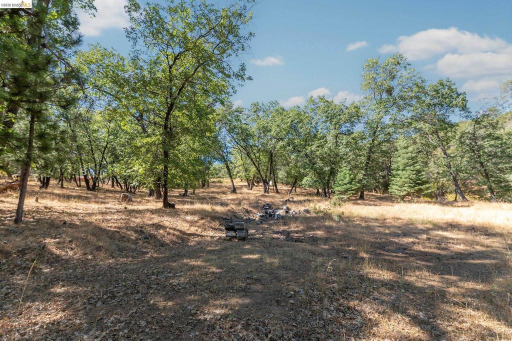 41143479 Property Photo 87