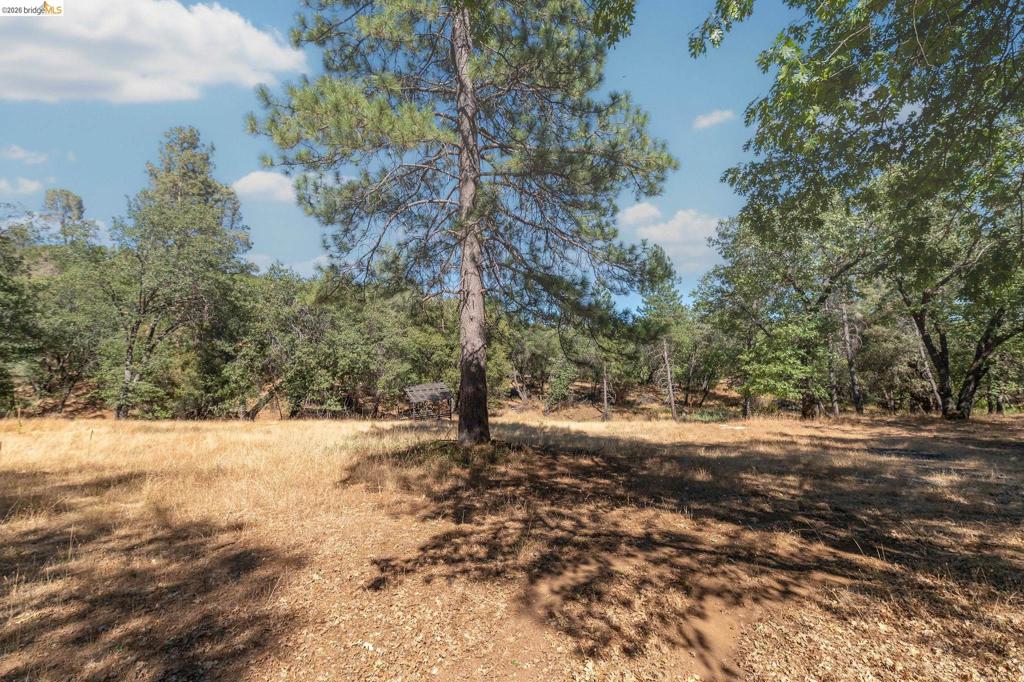 41143479 Property Photo 88