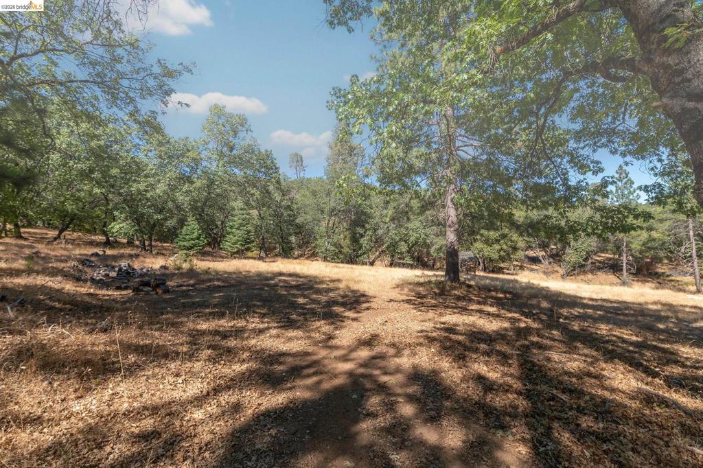 41143479 Property Photo 89