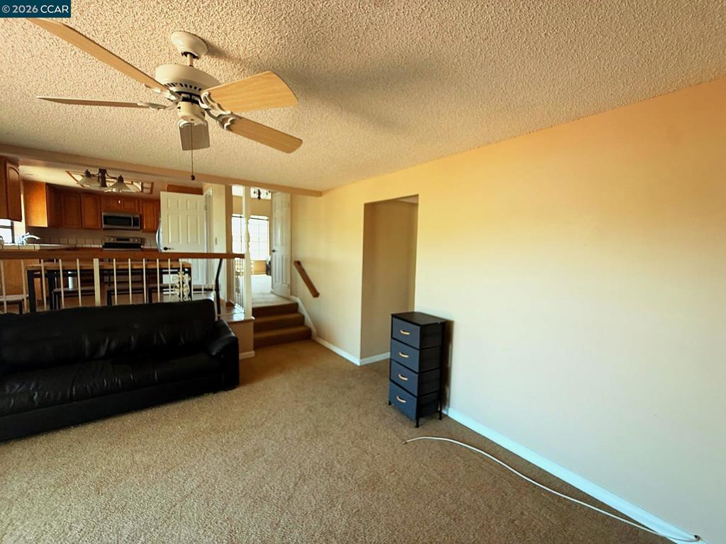 1732 Dolphin Pl Property Photo 21