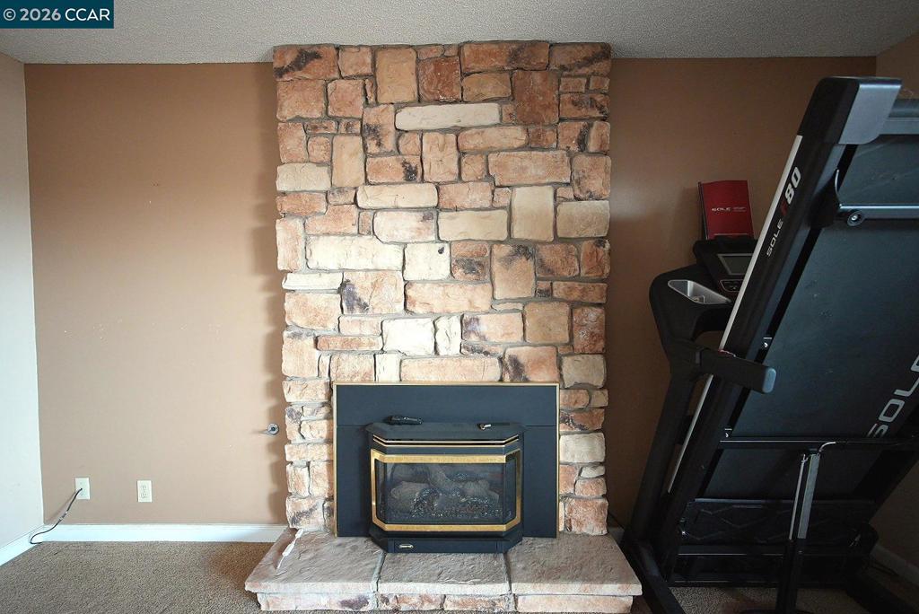1732 Dolphin Pl Property Photo 34