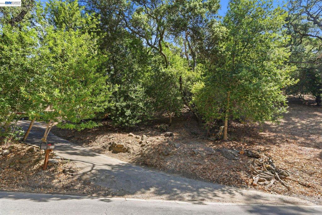 2315 Kilkare Rd Property Photo 38