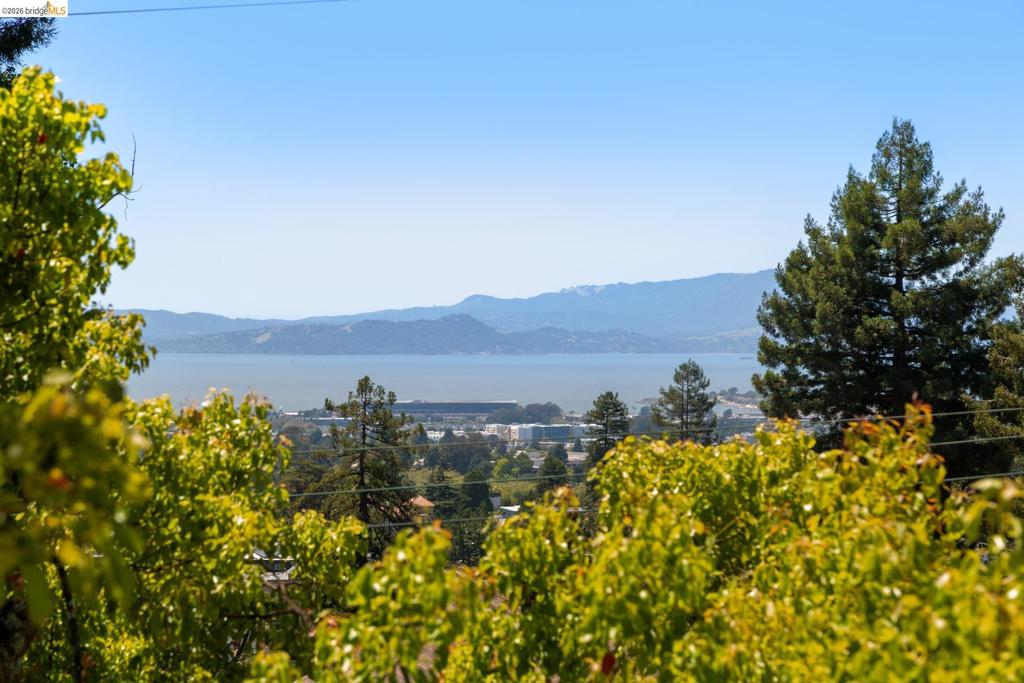 1409 Scenic Ave Property Photo 49