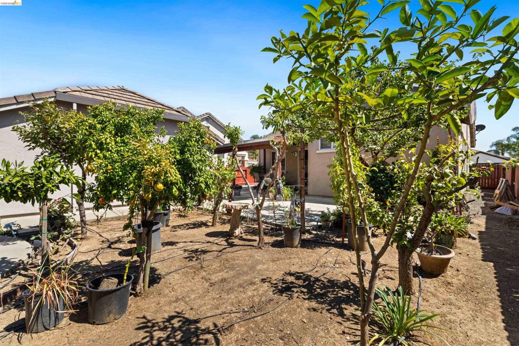 1676 Hickam Cir Property Photo 43