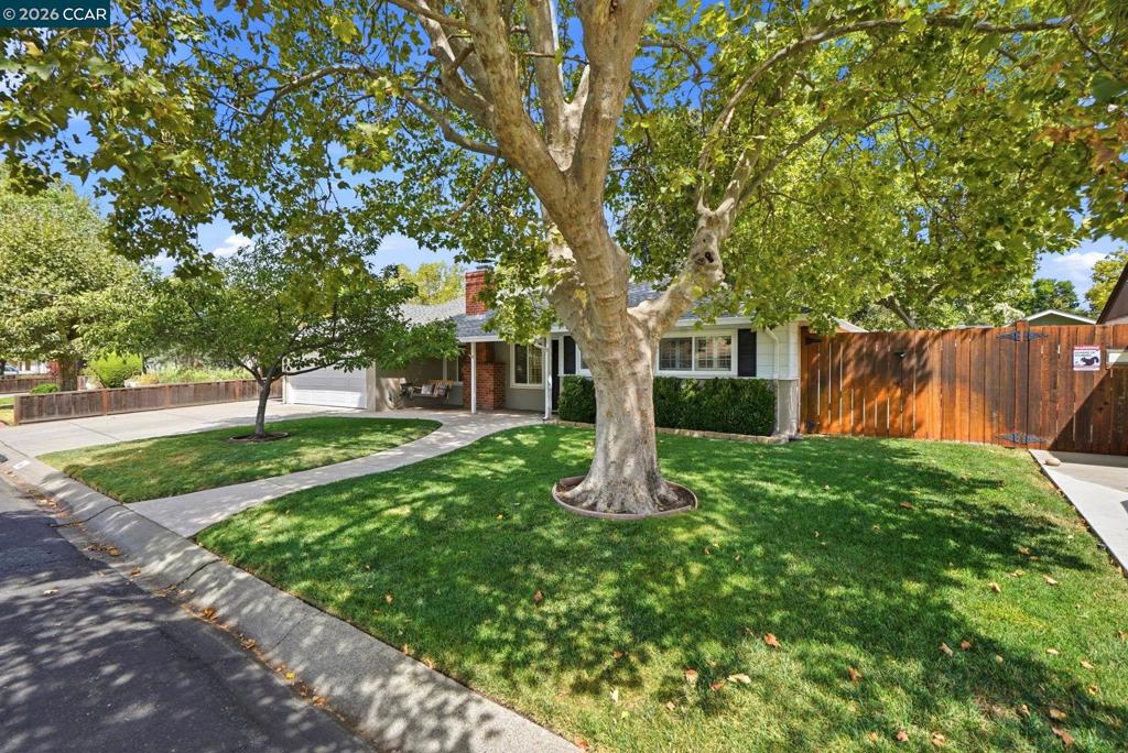 166 Cynthia Dr Property Photo 3