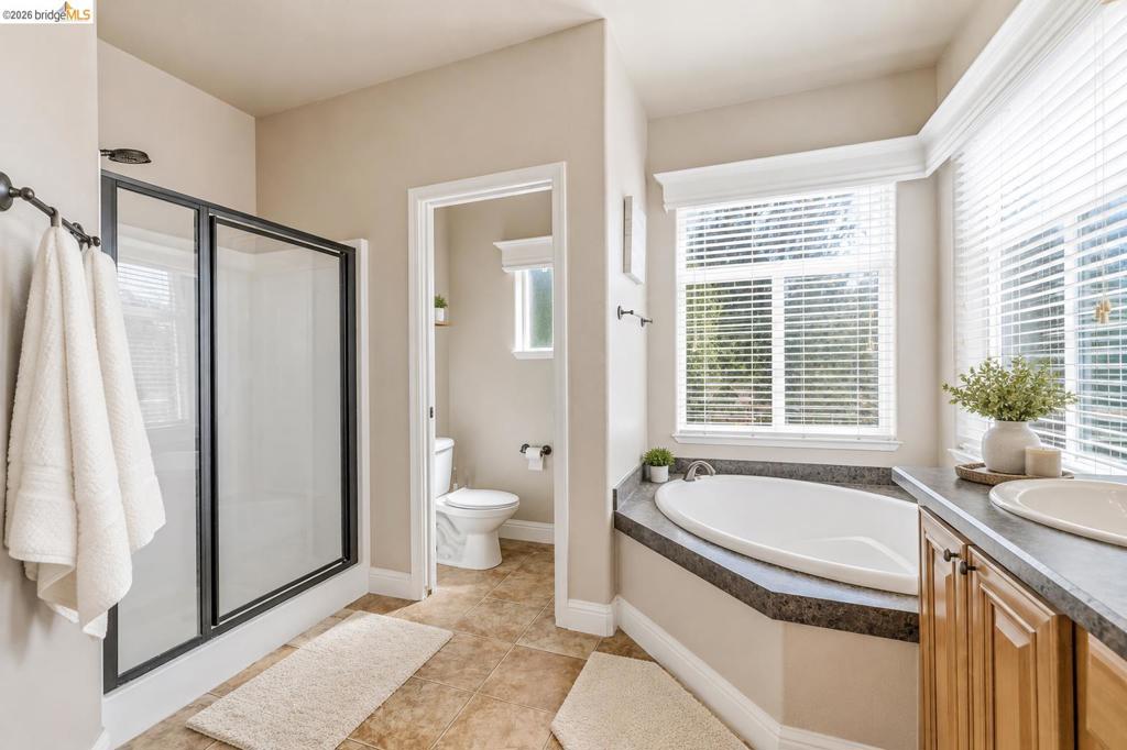 11019 Mountain Vista Ct Property Photo 15