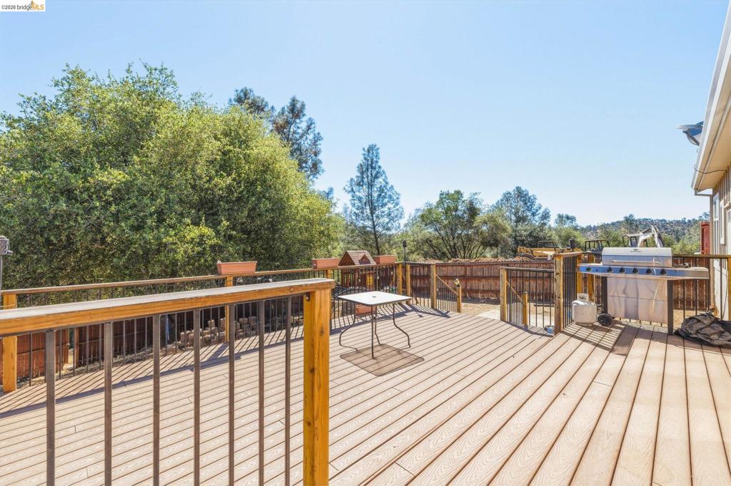 11019 Mountain Vista Ct Property Photo 22