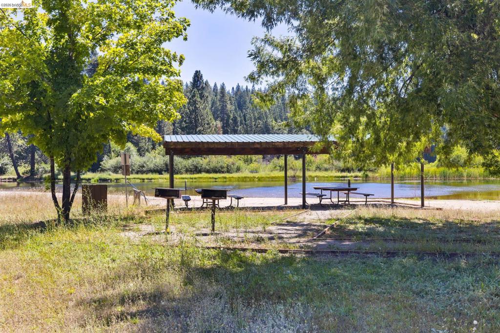 25242 Deborah Dr. Property Photo 59