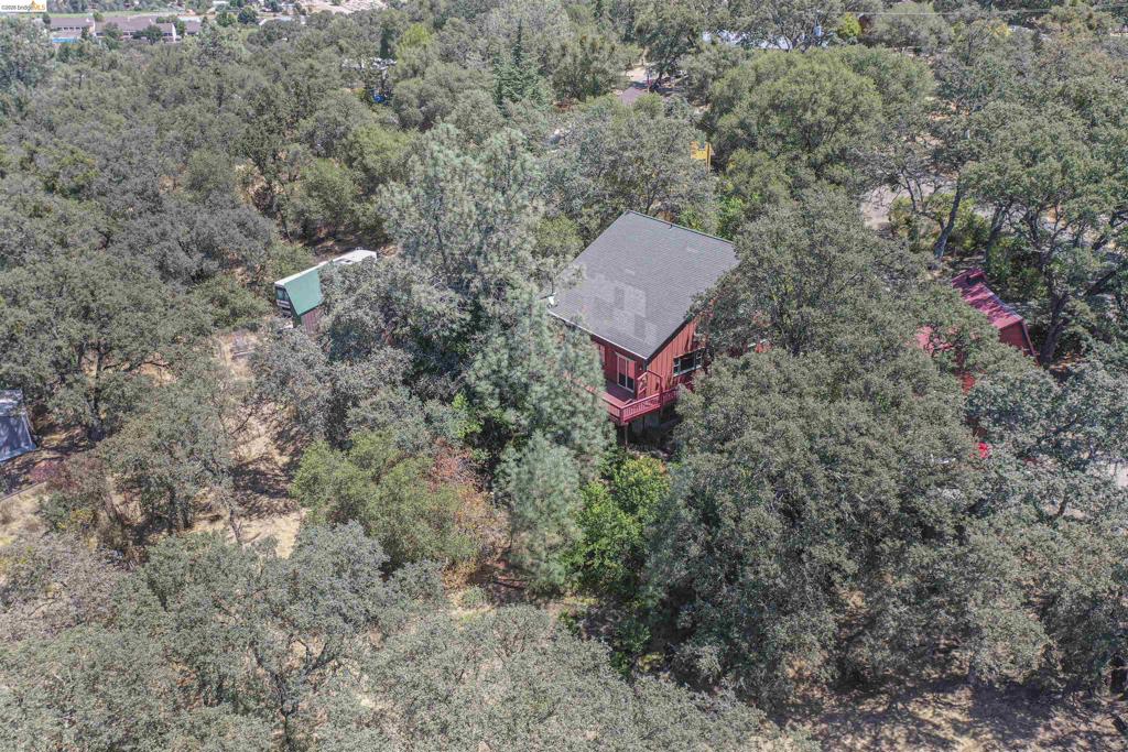514 Oak St Property Photo 49