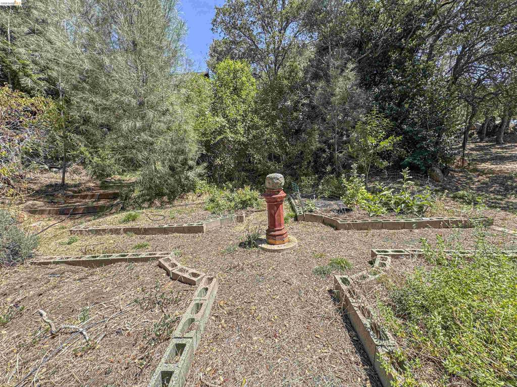 514 Oak St Property Photo 57