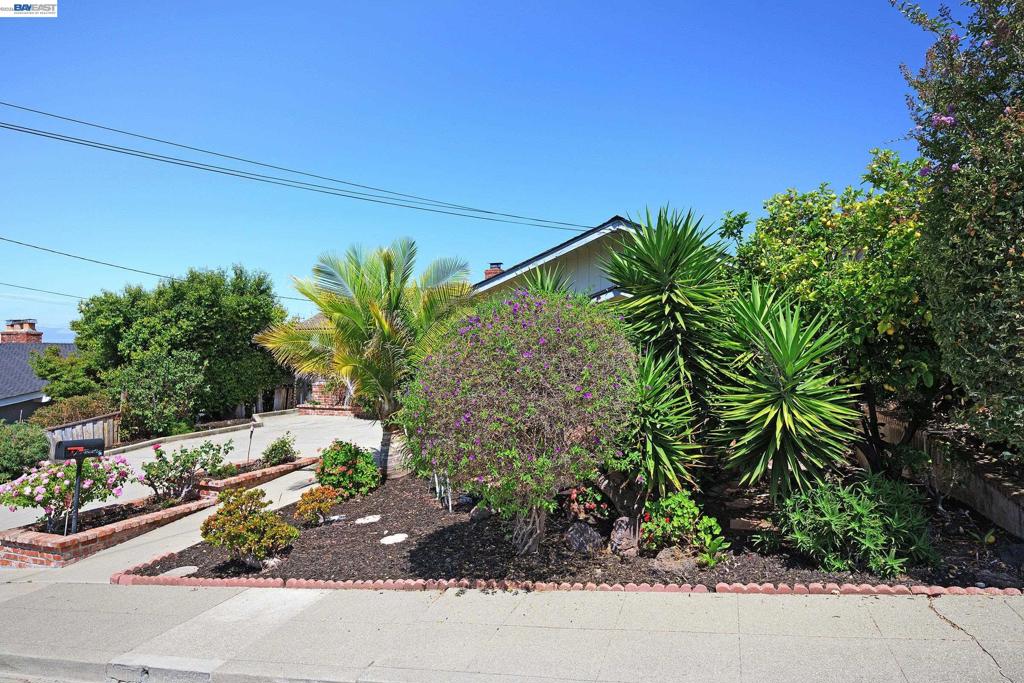 1254 Daily Dr Property Photo 42