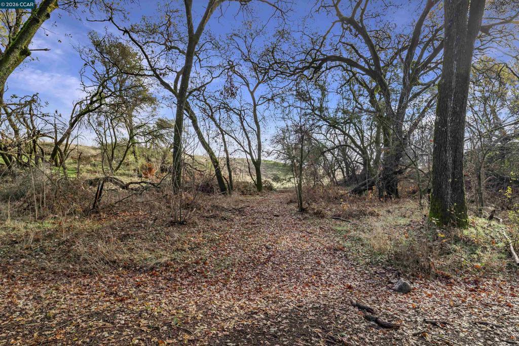 1 Pacific Heights Property Photo 8