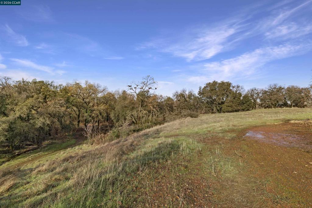 1 Pacific Heights Property Photo 10