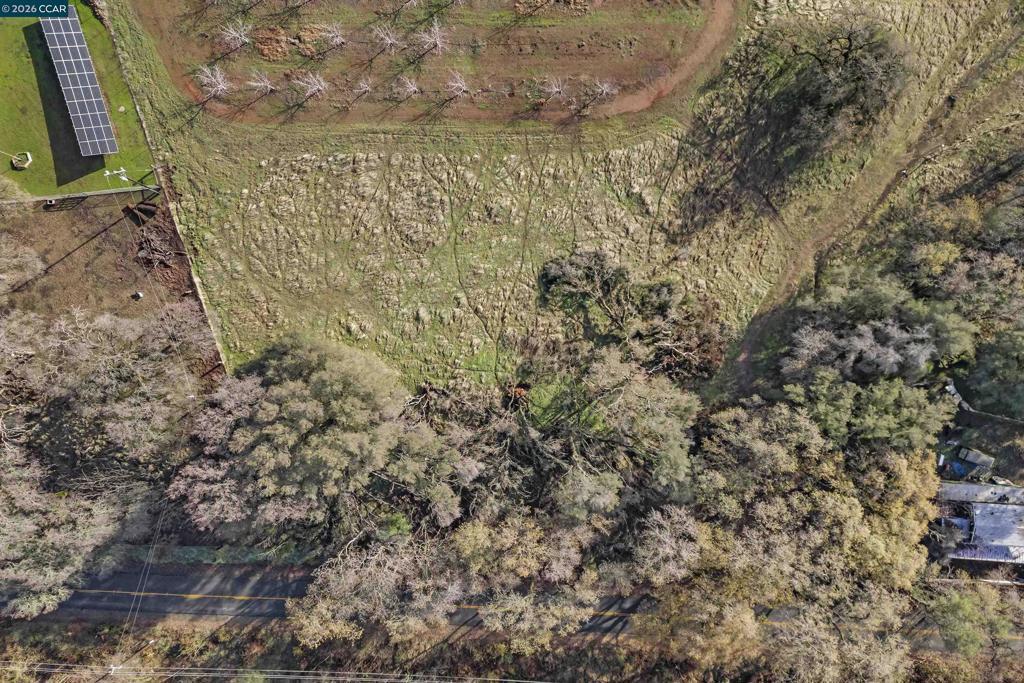 1 Pacific Heights Property Photo 13