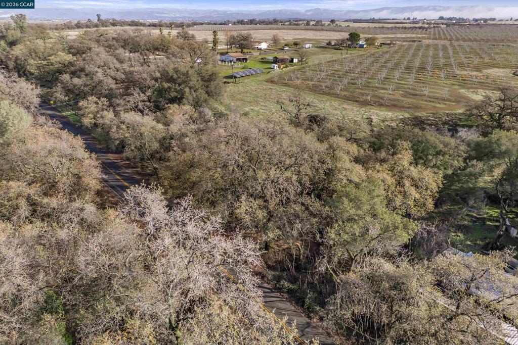 1 Pacific Heights Property Photo 14