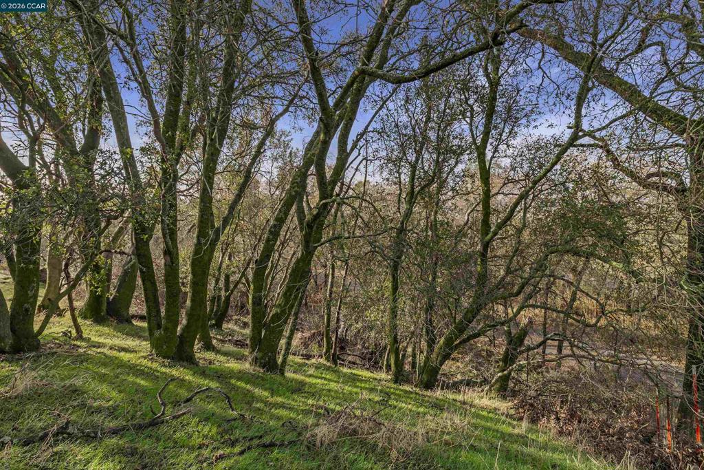 1 Pacific Heights Property Photo 15