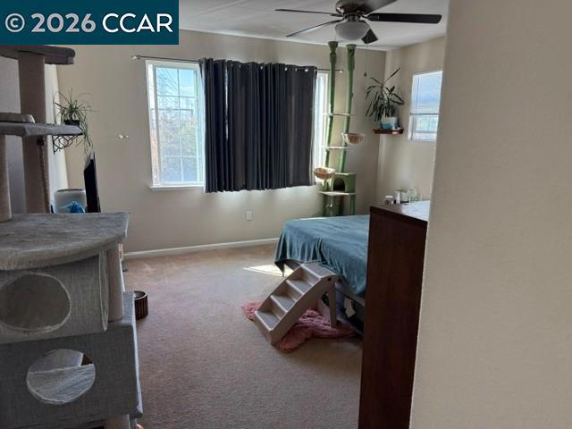 53 Halsey Ct Property Photo 18