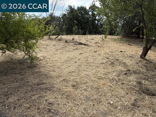 387 Camino Las Juntas Property Photo 6