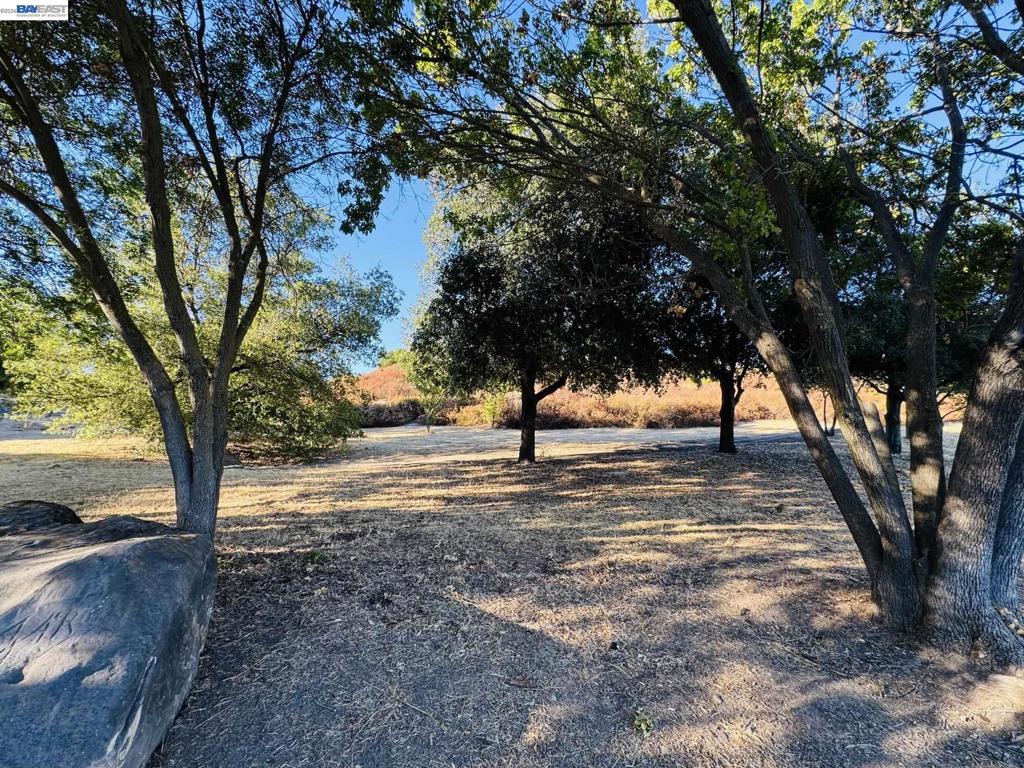 2600 Yorkshire Dr Property Photo 89