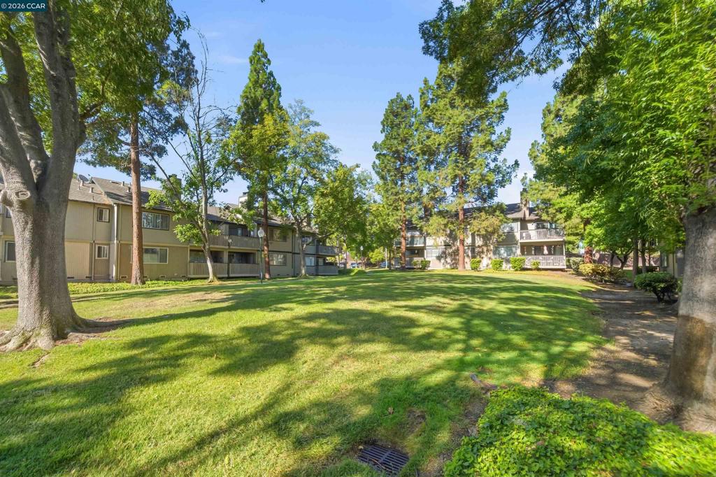 1133 Chadwick Cir Property Photo 43