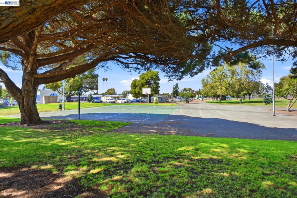 36267 Toulon Pl Property Photo 31