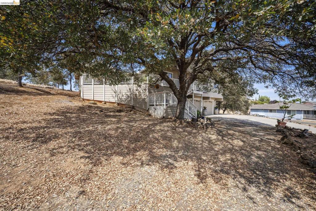 9729 Rastro Way Property Photo 31
