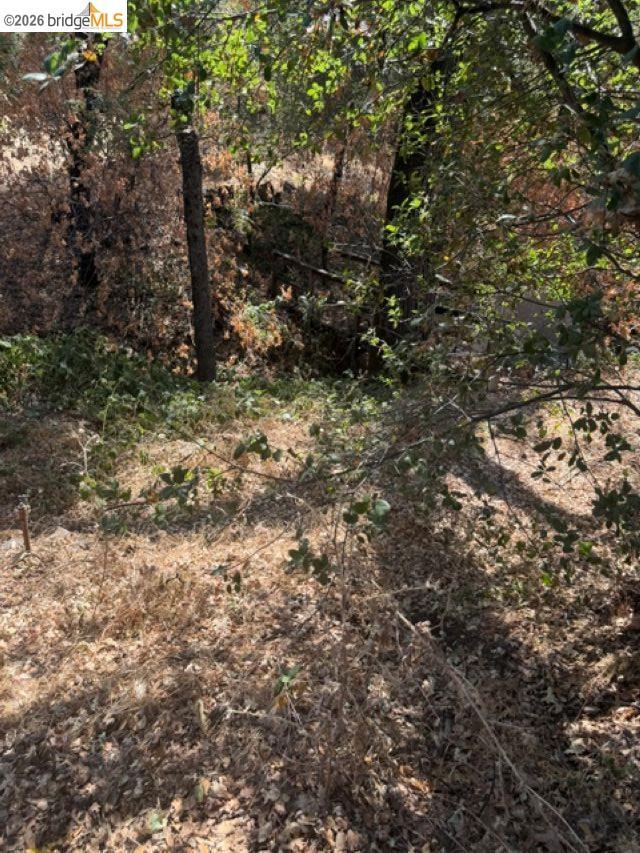 19909 Mono Way Property Photo 27