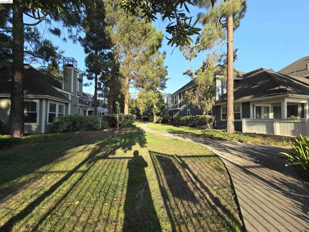 1107 Outrigger Lane Property Photo 51