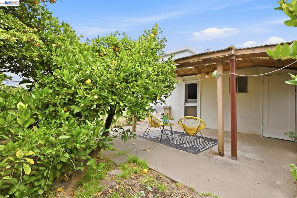 147 San Benito Ave Property Photo 29