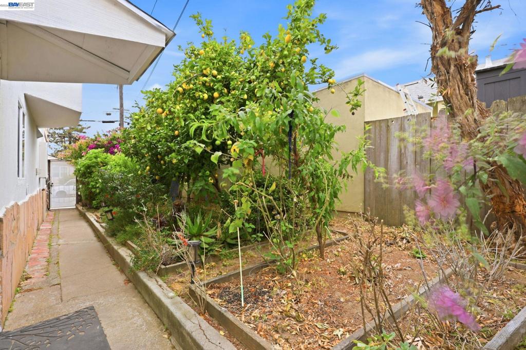 147 San Benito Ave Property Photo 32