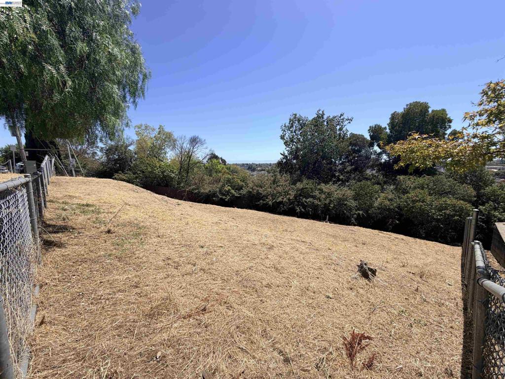 14643 Saturn Dr Property Photo 6
