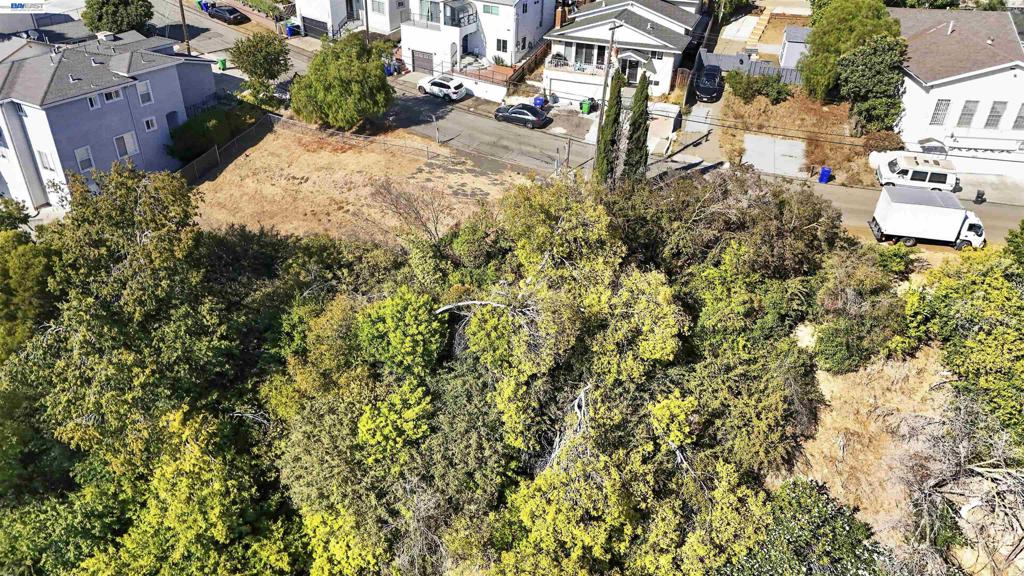14643 Saturn Dr Property Photo 17