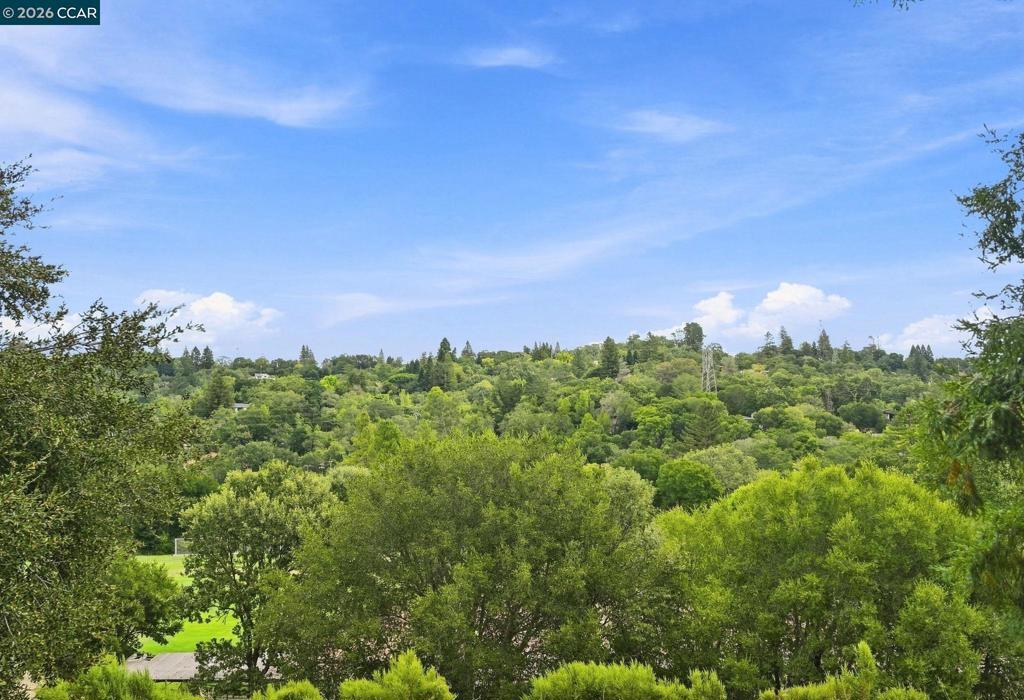 285 Camino Pablo Property Photo 4