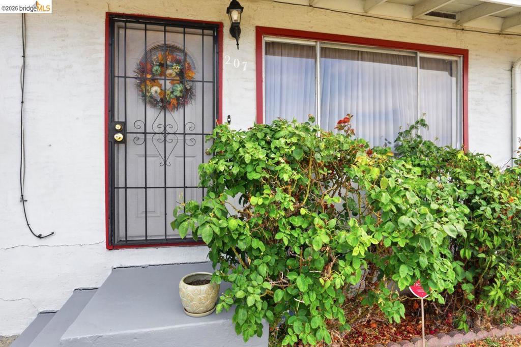 207 Holly St. Property Photo 5