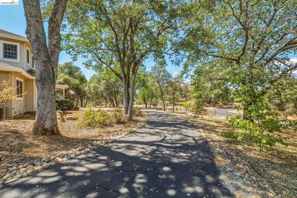 16161 Parkridge Property Photo 66