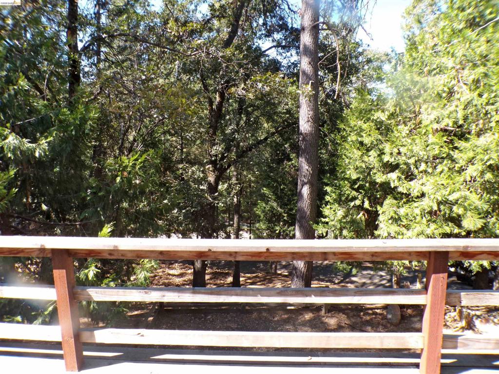 16935 Broken Pine Rd Property Photo 27