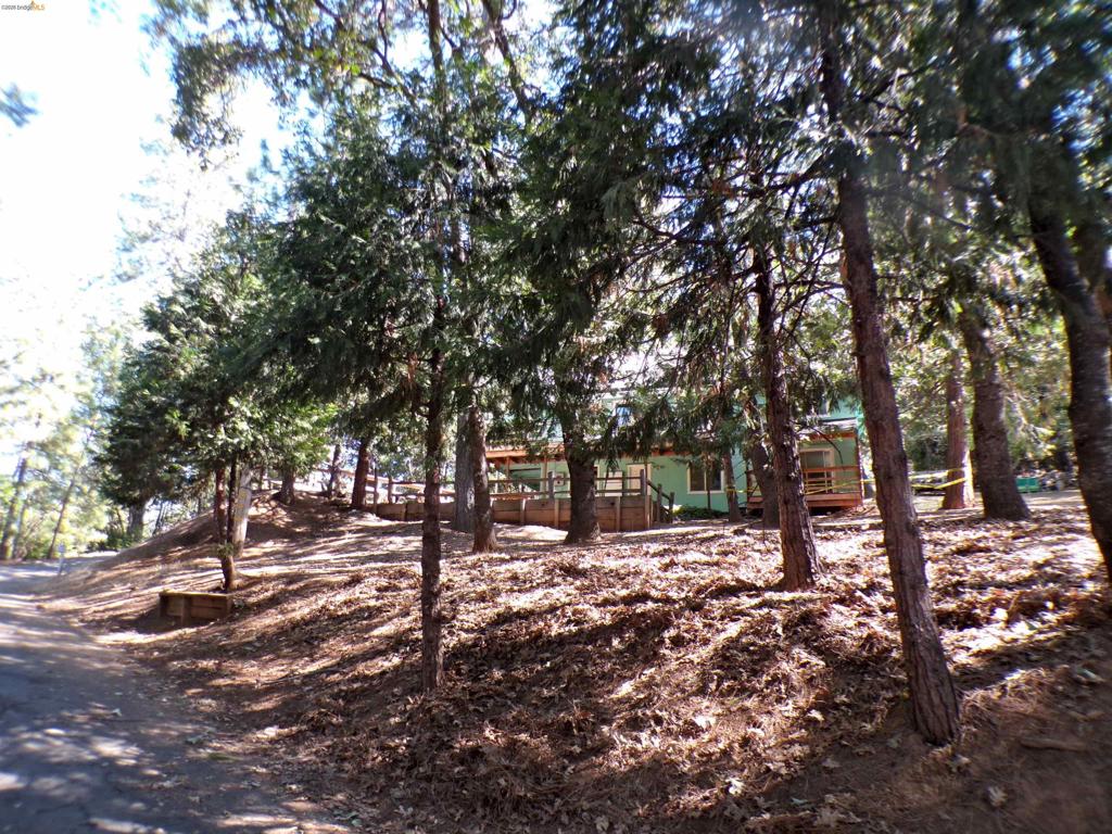16935 Broken Pine Rd Property Photo 34