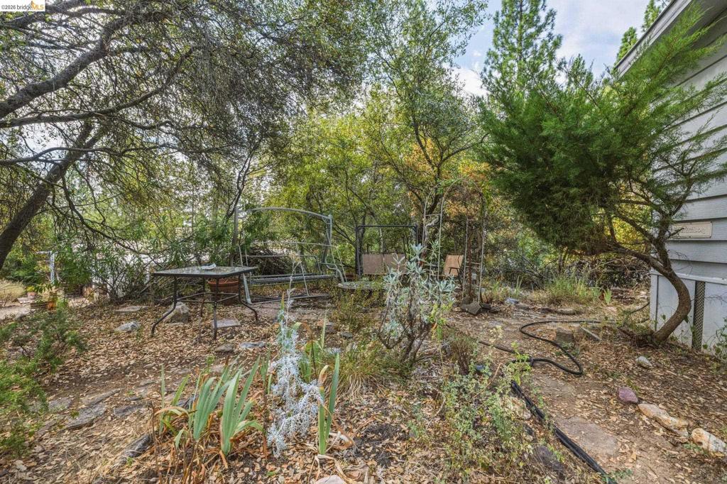 10956 Green St Property Photo 20